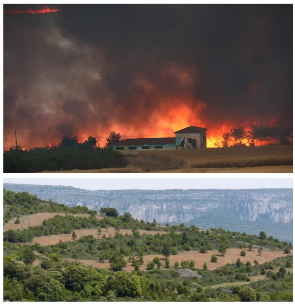 Paisajes resilientes ante los incendios forestales en el Valle de Etxauri